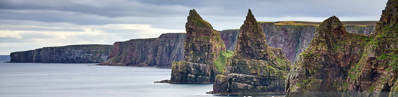 Rectangle 18